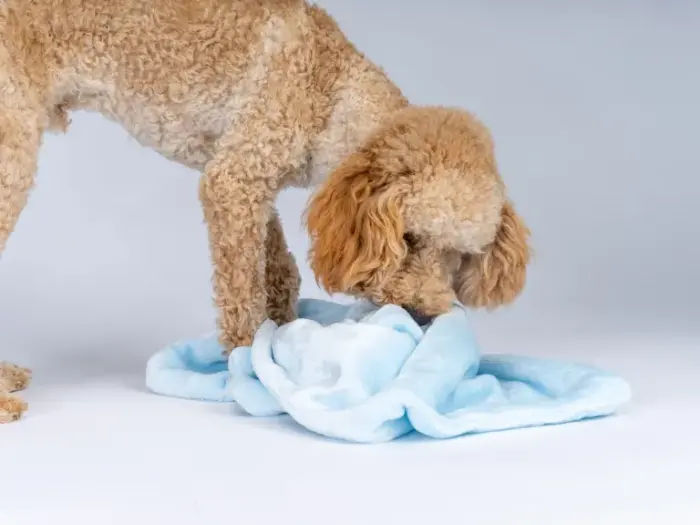 Coco, die weiche Kuscheldecke für Hunde und Katzen von Trendpet – Bild 11