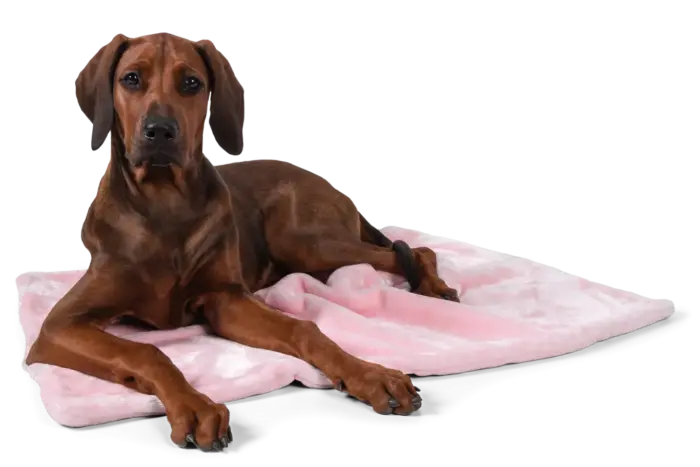 Coco, die weiche Kuscheldecke für Hunde und Katzen von Trendpet – Bild 4