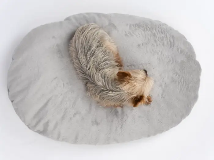 Emma - das kuschelige und dick gepolsterte Hundekissen von TrendPet – Bild 8