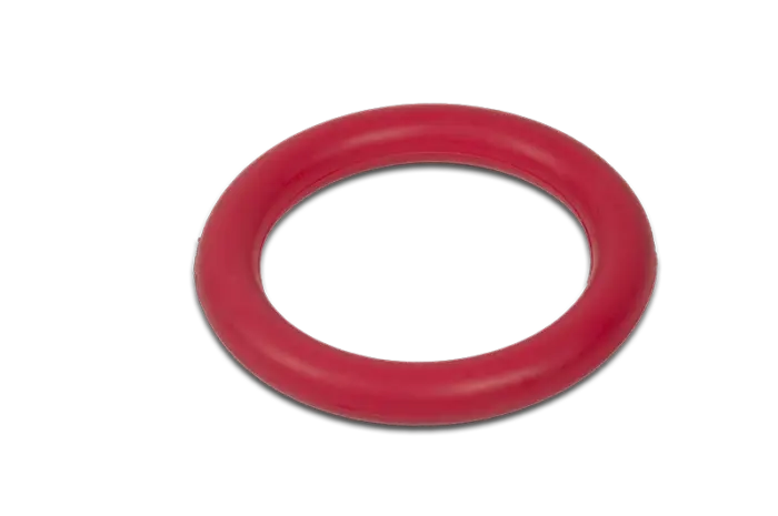FUN RING